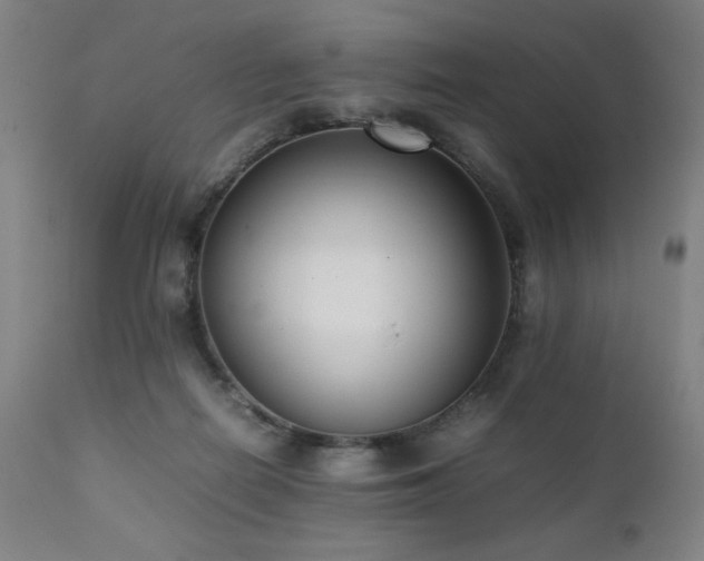 X0000112050266200908041158