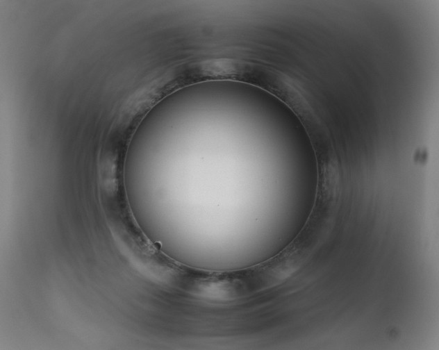 X0000112050267200908041158