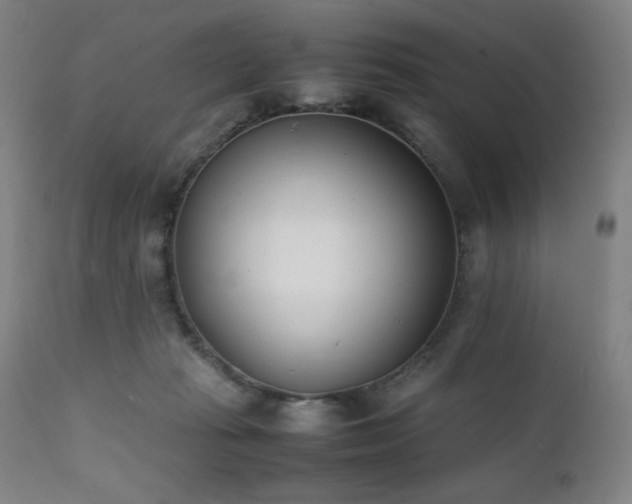 X0000112050269200908041158