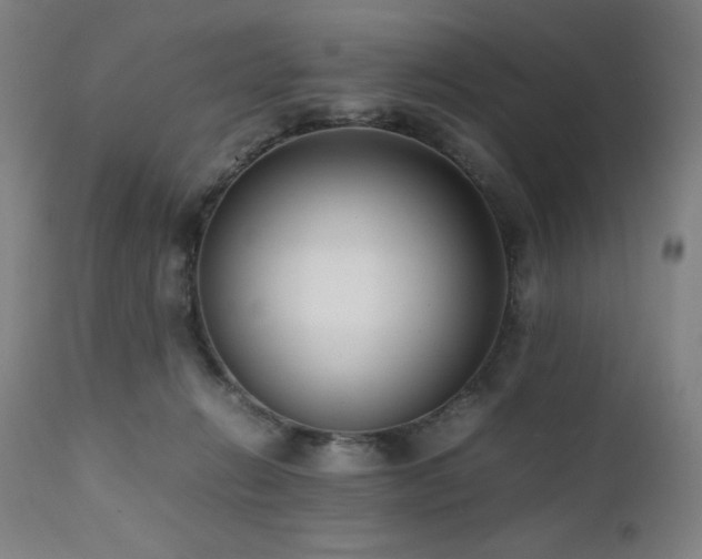 X0000112050270200908041158