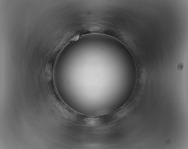 X0000112050273200908041158