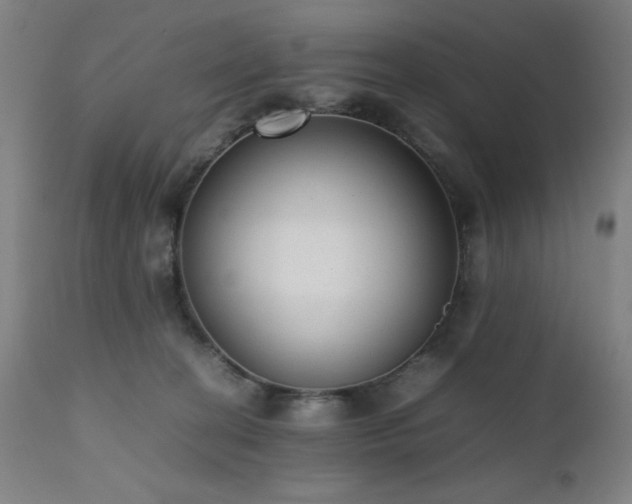 X0000112050274200908041158