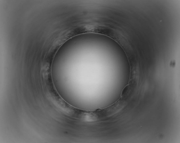 X0000112050275200908041158