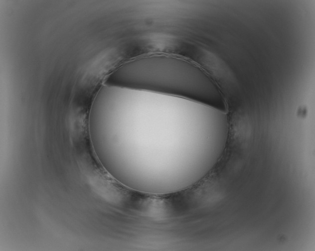 X0000112050276200908041158