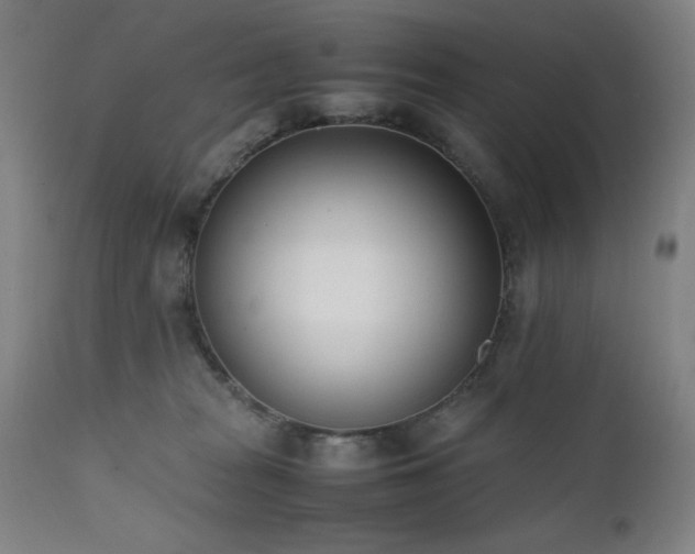 X0000112050277200908041158