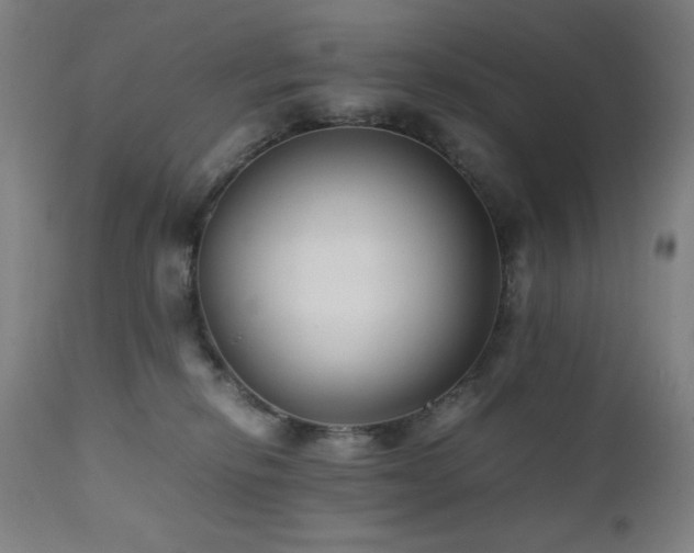 X0000112050278200908041158