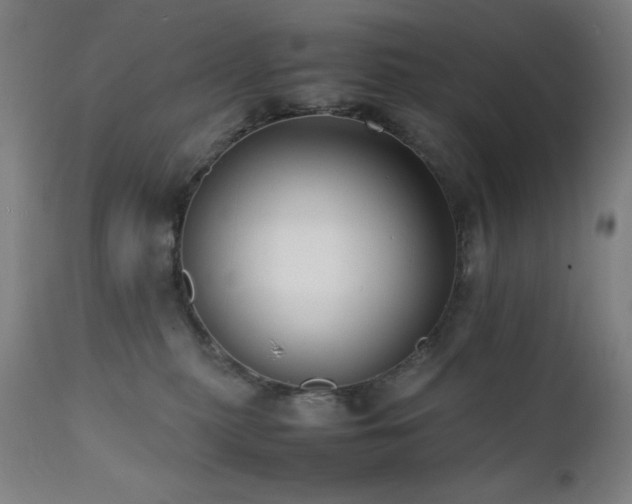 X0000112050279200908041158