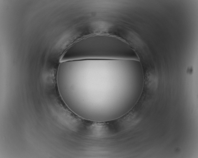 X0000112050280200908041158