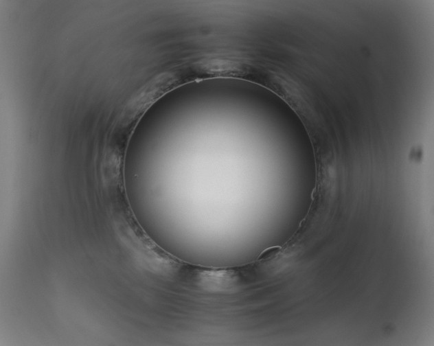 X0000112050281200908041158