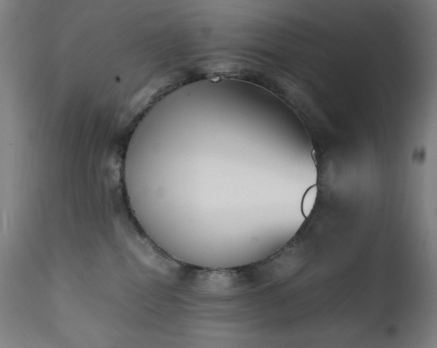 X0000112050282200908041158