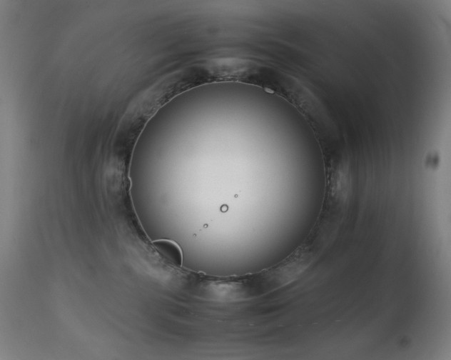 X0000112050283200908041158