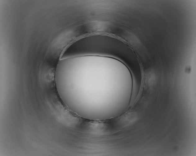 X0000112050284200908041158