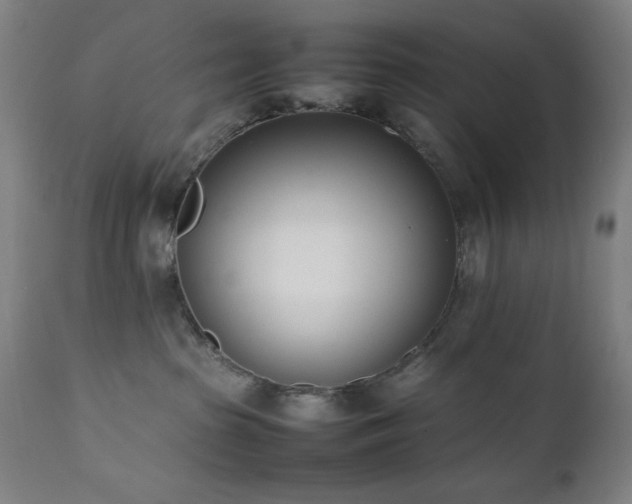 X0000112050285200908041158