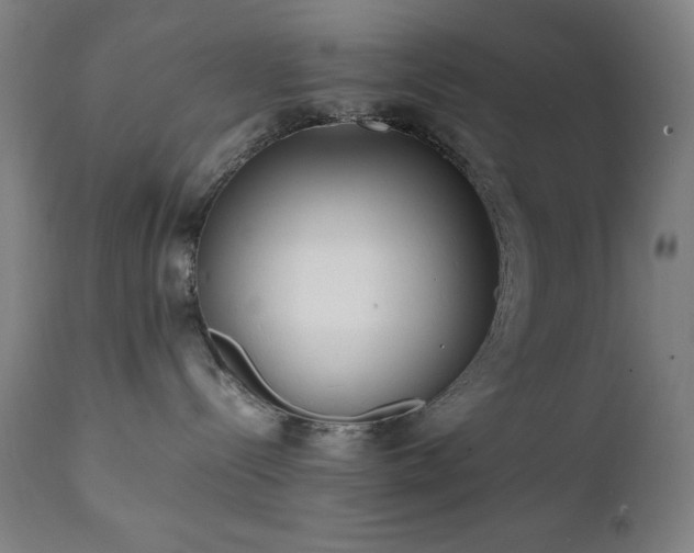 X0000112050288200908041158