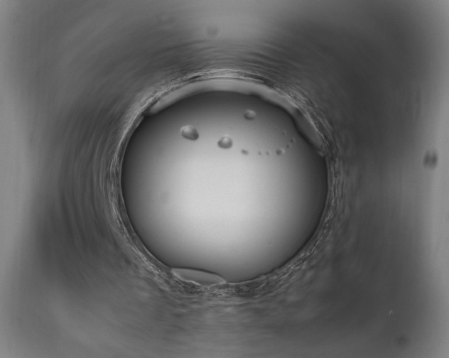 X0000112050289200908041157