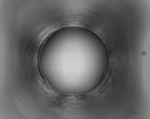 X0000112050290200908041157