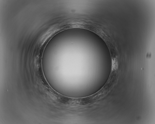 X0000112050291200908041157