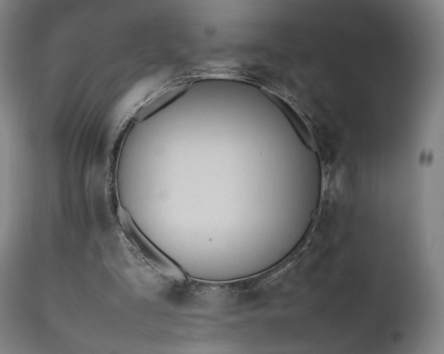 X0000112050293200908041157