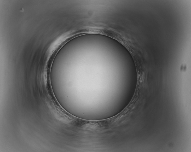 X0000112050294200908041157