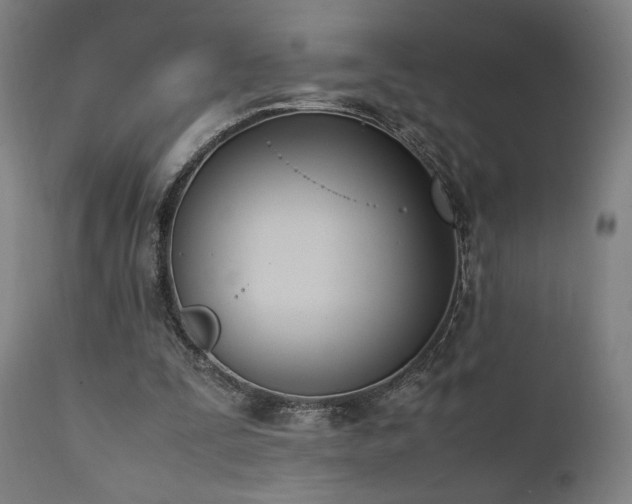 X0000112050295200908041157