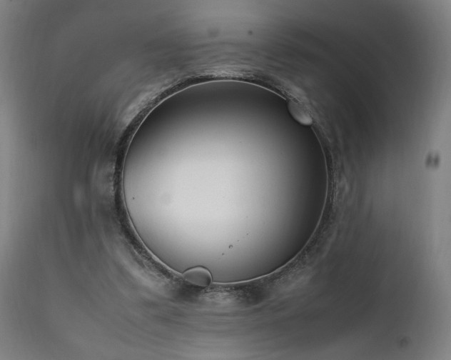 X0000112050299200908041157