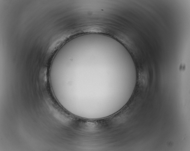 X0000112050302200908041157