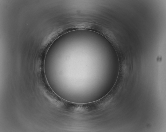 X0000112050303200908041157