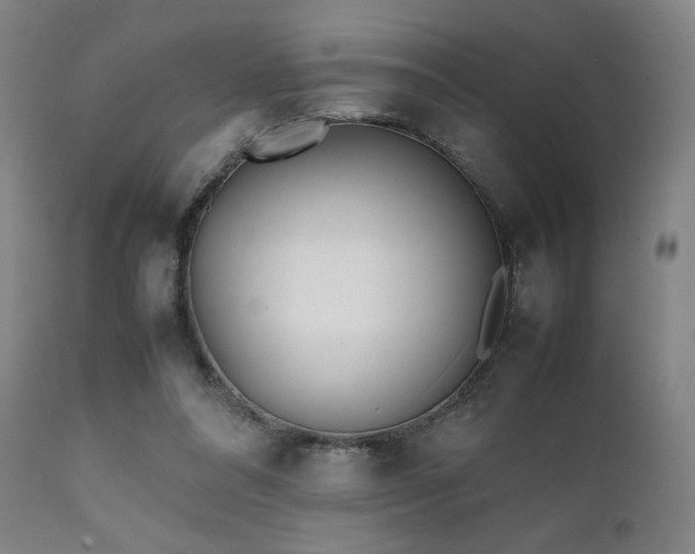 X0000112050304200908041157