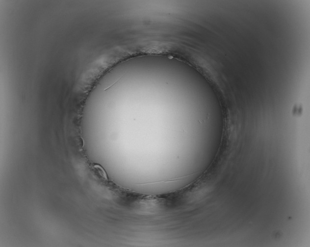 X0000112050307200908041157