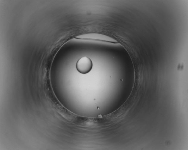 X0000112050308200908041157