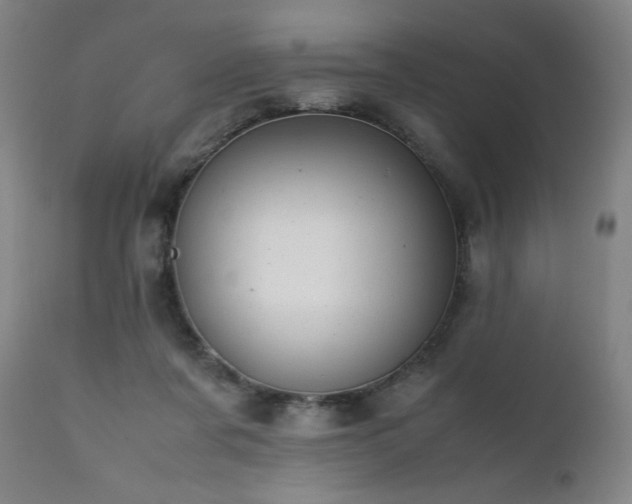 X0000112050311200908041157