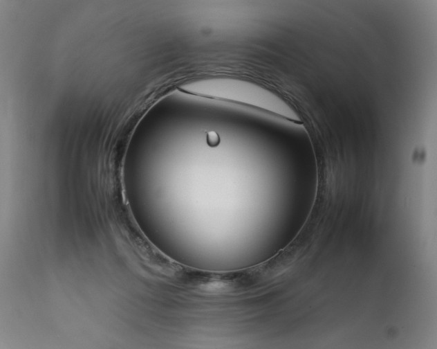 X0000112050312200908041157