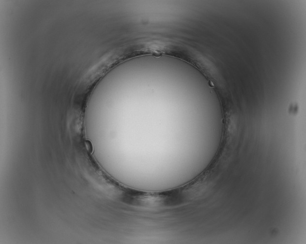 X0000112050313200908041157