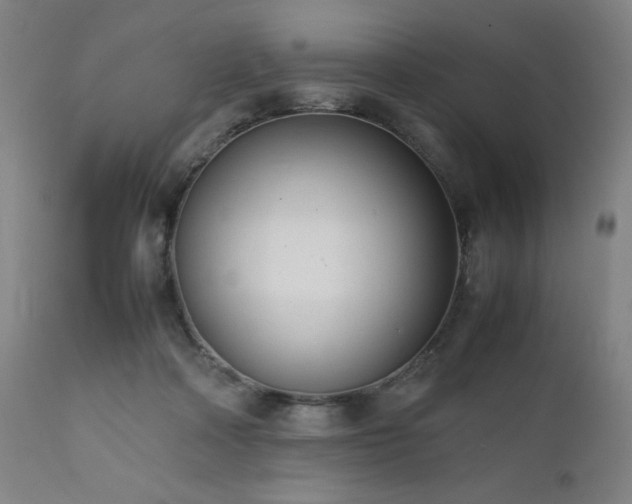 X0000112050314200908041157