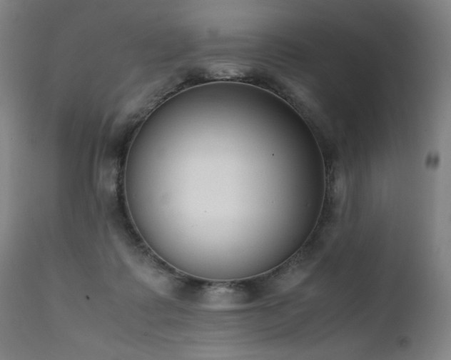 X0000112050315200908041157