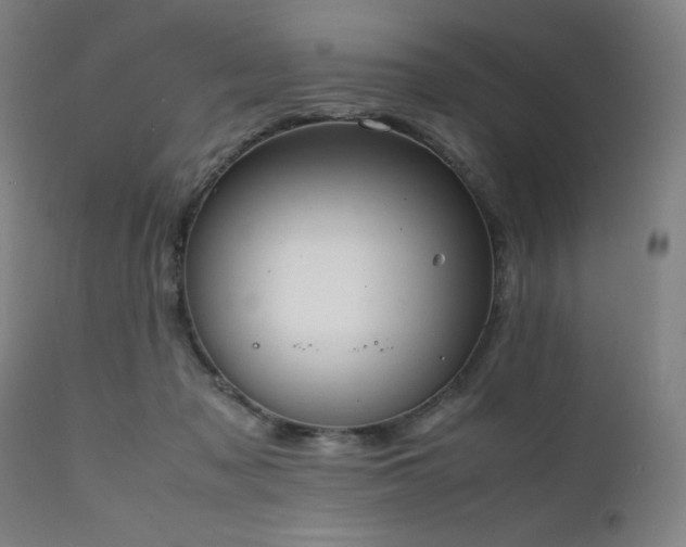 X0000112050317200908041157