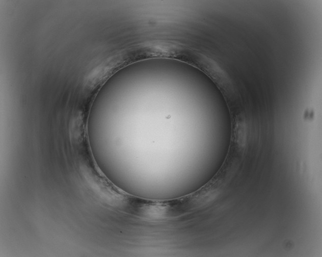 X0000112050318200908041157