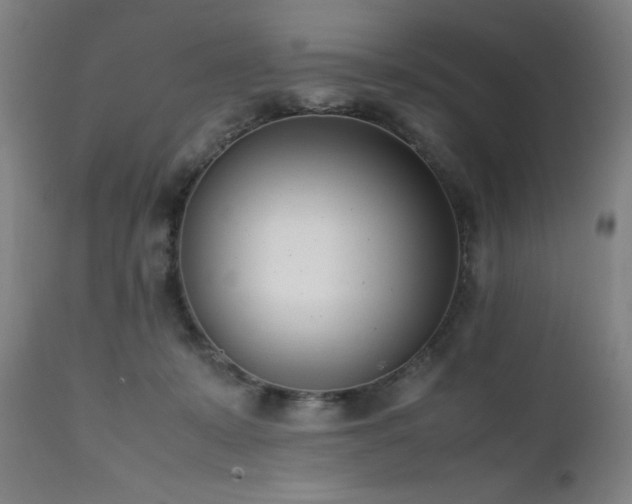 X0000112050319200908041157