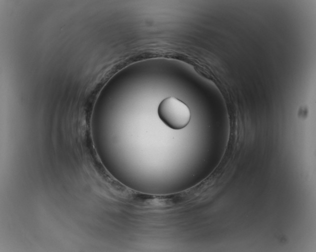 X0000112050320200908041157