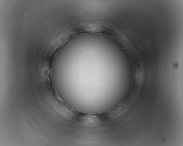 X0000112050322200908041157