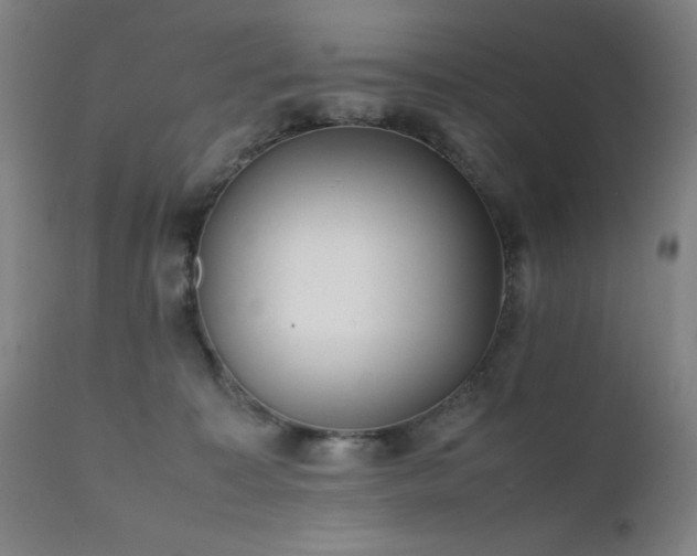 X0000112050323200908041157