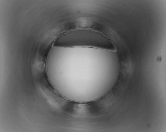 X0000112050324200908041157