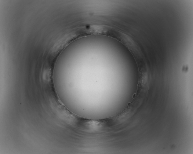 X0000112050326200908041157