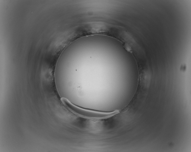 X0000112050327200908041157