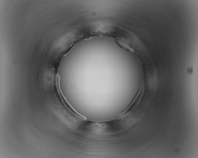 X0000112050328200908041157