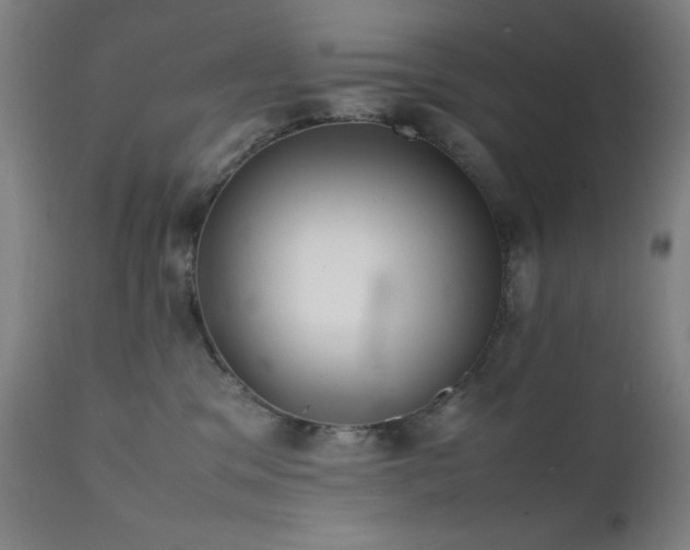 X0000112050329200908041157