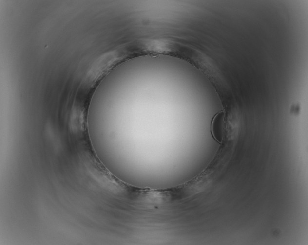 X0000112050330200908041157