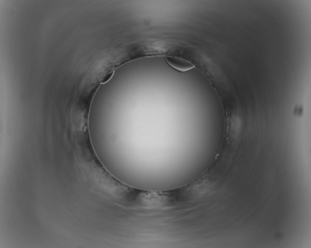 X0000112050331200908041157