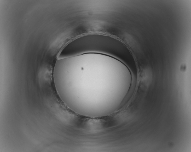 X0000112050332200908041157