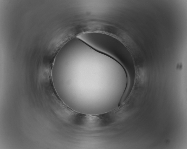 X0000112050333200908041157